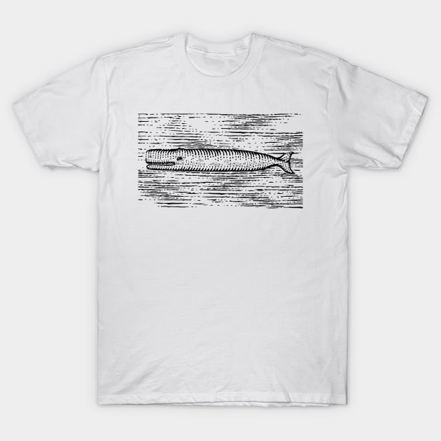 White Whale T-Shirt by GeeTee